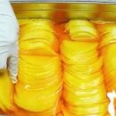 노란단무지 이미지