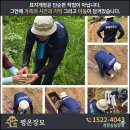 남양주 모란공원묘지 개장｜46년 관장 아버님 유골 수습부터 성남화장장까지 이미지