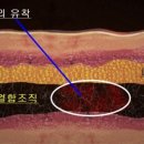 행복한 바디조각