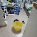 부산기장아랫집누수 누수 탐지 방법과 배관 보수 후기
