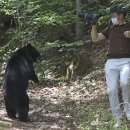 친한농장 이미지