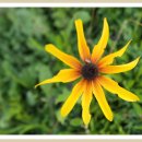 복예가든 이미지