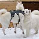 멍스테이션 이미지