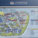 운동장길L 네이버블로그