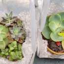 부산혜성학교 이미지