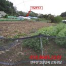 용유로 이미지