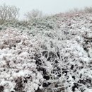 설악산 대청봉, 올 가을 &#39;첫 눈&#39; 1cm 가량 쌓여 이미지