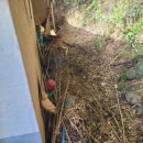 (유)장흥환경산업 | 장흥군 유품정리 돌아가신어머님 집 정리 청소까지