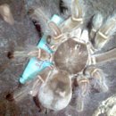 마들역(7호선) 이미지