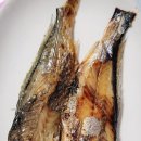 공달생태한마리 이미지