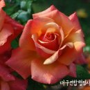 보훈행정사 이미지