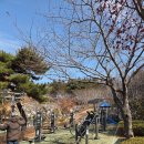 연산동고분군 이미지