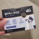 강아지 반려견 유산균 추천 벨라맥스 후기