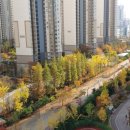 영종한라비발디공인중개사사무소 | 영종도의 쾌적한 주거 랜드마크, 영종하늘도시 한라비발디 경매 기회!