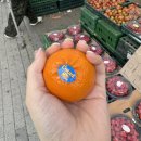 [대구상회/대구과일가게] 백두상회 유천점 후기