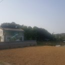 사구팔구몰