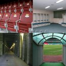 숲속의 둥지 이미지