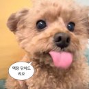 더블랙학원 이미지