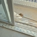 군자주공11단지 | 광명시입주청소 하안주공아파트 11단지 작업 후기