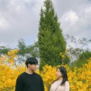 드림사진카페 이미지
