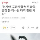 러시아, 포항제철•부산 화학공장 등 미사일 타격 훈련 계획 이미지