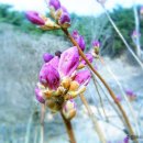 내일부터 25 ℃의 맑은 날씨, 과보온 피해도 관심을..... 이미지