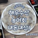 해우수산 | 해우수산 농어회 (+가보자회초장집) 내돈내산!