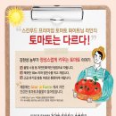 토마토화장품