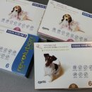 청주동물약국 이미지