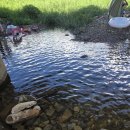 반곡교 | [전남 화순] 동가리계곡 꿀팁 물놀이후기 | 여름 피서지 추천