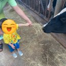 덕진목장 이미지