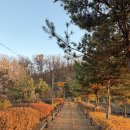 오리지날생삼겹 | 개포동 냉삼 맛집 ‘제주그집‘ 친구들과 내돈내산 더치페이 후기