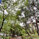 달팽이어린이공원 | [성남공원] 성남누비길 복정동공원 복정동어린이공원 복정동분수공원 복정동분수광장