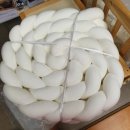 페토라 | [육아용품] 국민육아템 사용후기