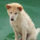 백진주 이미지