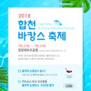 합천바캉스축제 이미지
