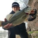 부엉덤이 이미지