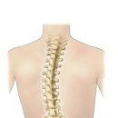 정림한의원 이미지