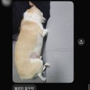 도신로15길 | 회피가 안된다면 해피하세요