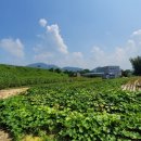 산인면사무소 이미지