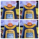 브릭스 제주 이미지