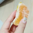 세진농원 이미지