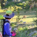 JMT(Bishop pass - Kearsarge pass 구간) 백패킹 #6/7 이미지