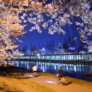 동천 수변공원 이미지