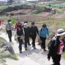 경남 마산 무학산(05년 4월) 이미지