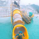 상주 감꽃마을 서울캠핑장 네이버블로그