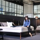 어진동_호수공원수변공원 이미지