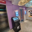 데일리 코인노래연습장 이미지