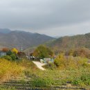 한농유기농 건강체험마을 이미지