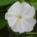 장자농장 이미지